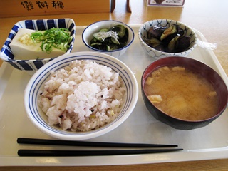 冷奴・わかめ酢・なす揚げびたし・雑穀ごはん・味噌汁