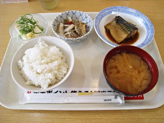 さばの煮つけ・あじの南蛮漬・冷奴・ごはん・みそ汁