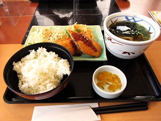 日替り定食(鶏天ねぎポン酢・イカフライ・ミニ温うどん)