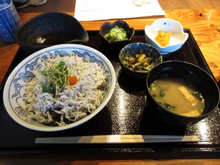 佐田岬の釜あげしらす丼定食