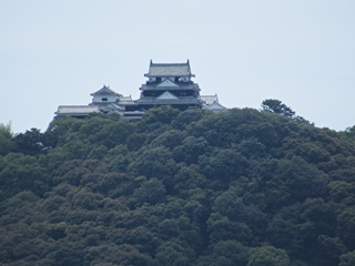 展望台から見た松山城