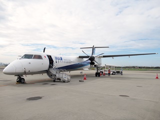 ANA781 DHC8-Q400(JA460A)