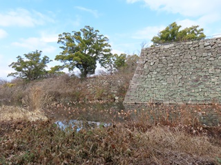 本丸石垣(1)