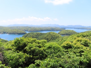 展望台からの眺望