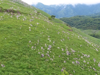 秋吉台(5)