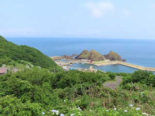 帯島