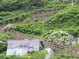 階段国道339号下側