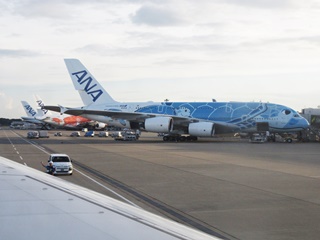 A380 JA381A