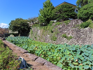 本丸(県立五島高等学校)