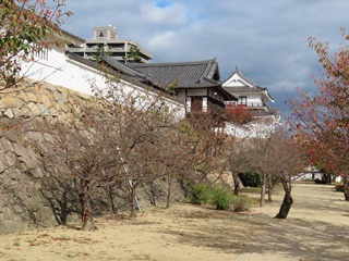 御湯殿と月見櫓