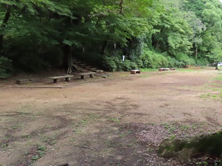 桜の馬場