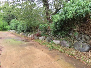 本丸土塁跡