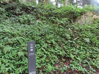 石垣跡