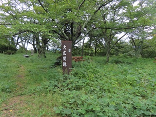 本丸上段・大広間跡