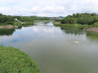 ダム湖(さくら湖)