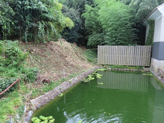 須賀川城外濠跡
