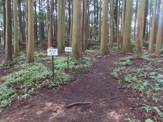 西主郭下段・丸馬出