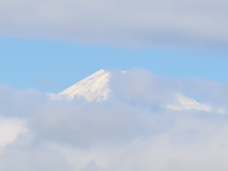 クリスマスツリー