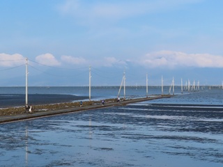 長部田海床路(2)