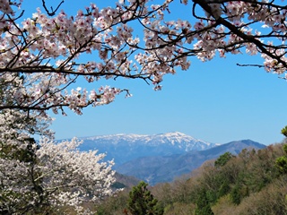 八木城跡本丸から残雪の氷ノ山を望む