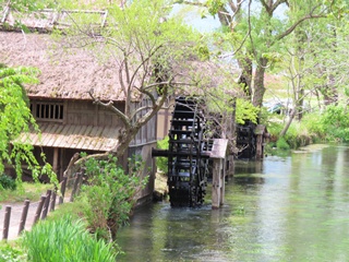 三連水車