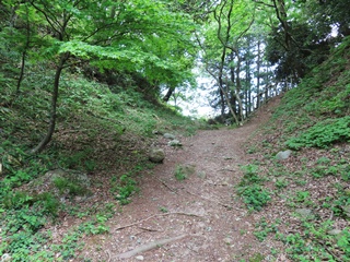 二の丸と三ノ丸の間の大堀切